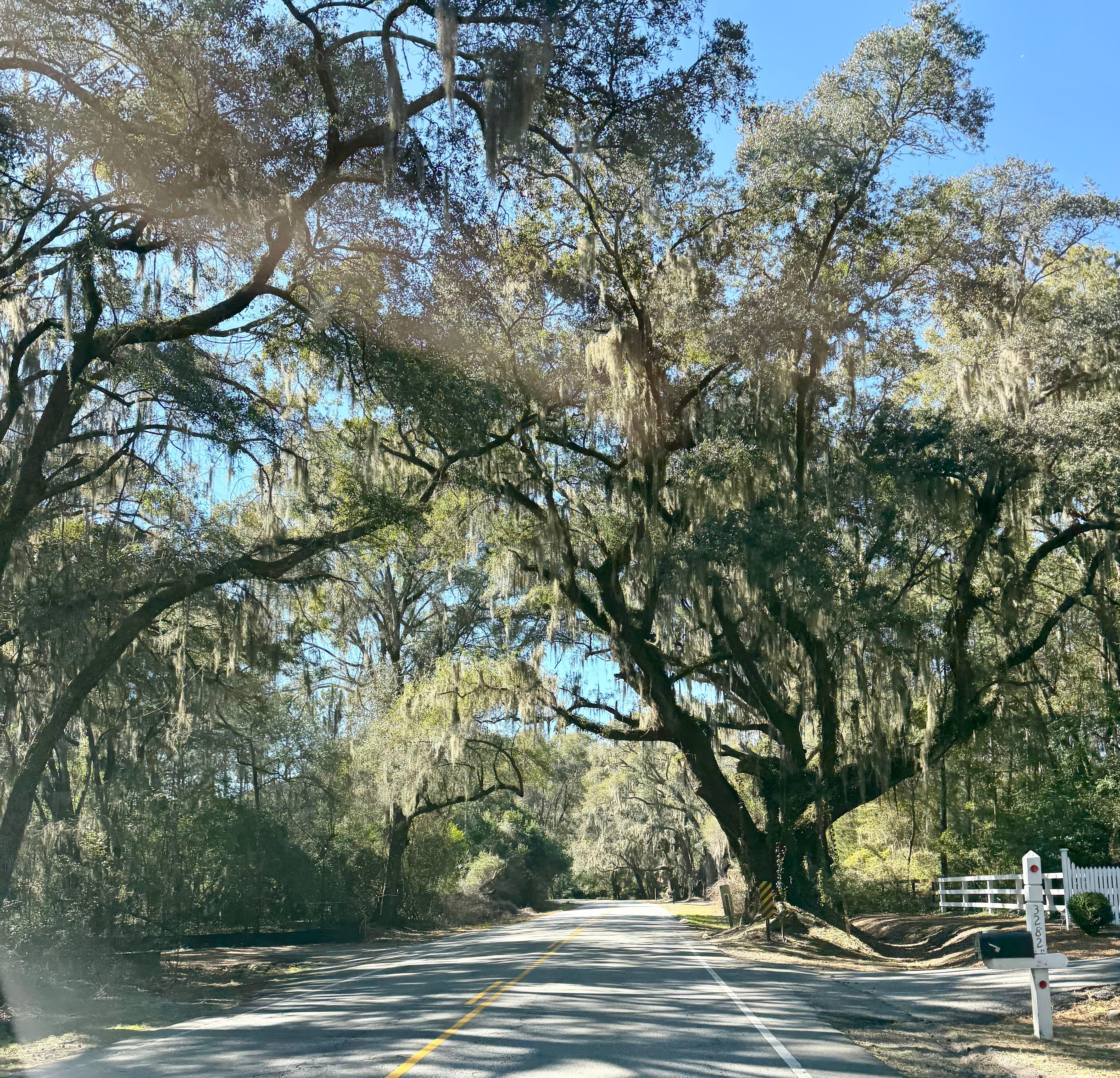 On our way into Kiawah 