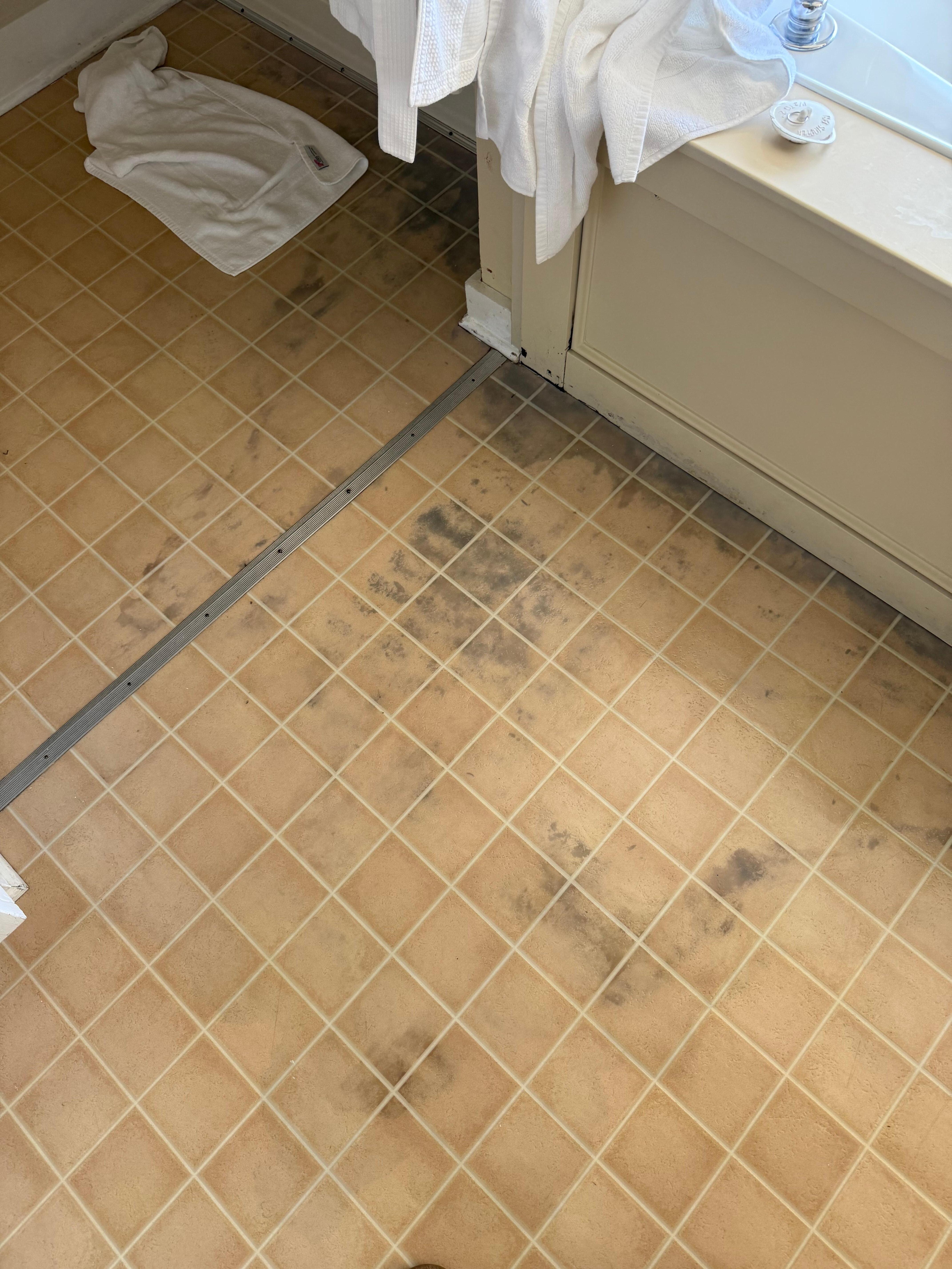 Dirty, old linoleum bathroom flooring. 