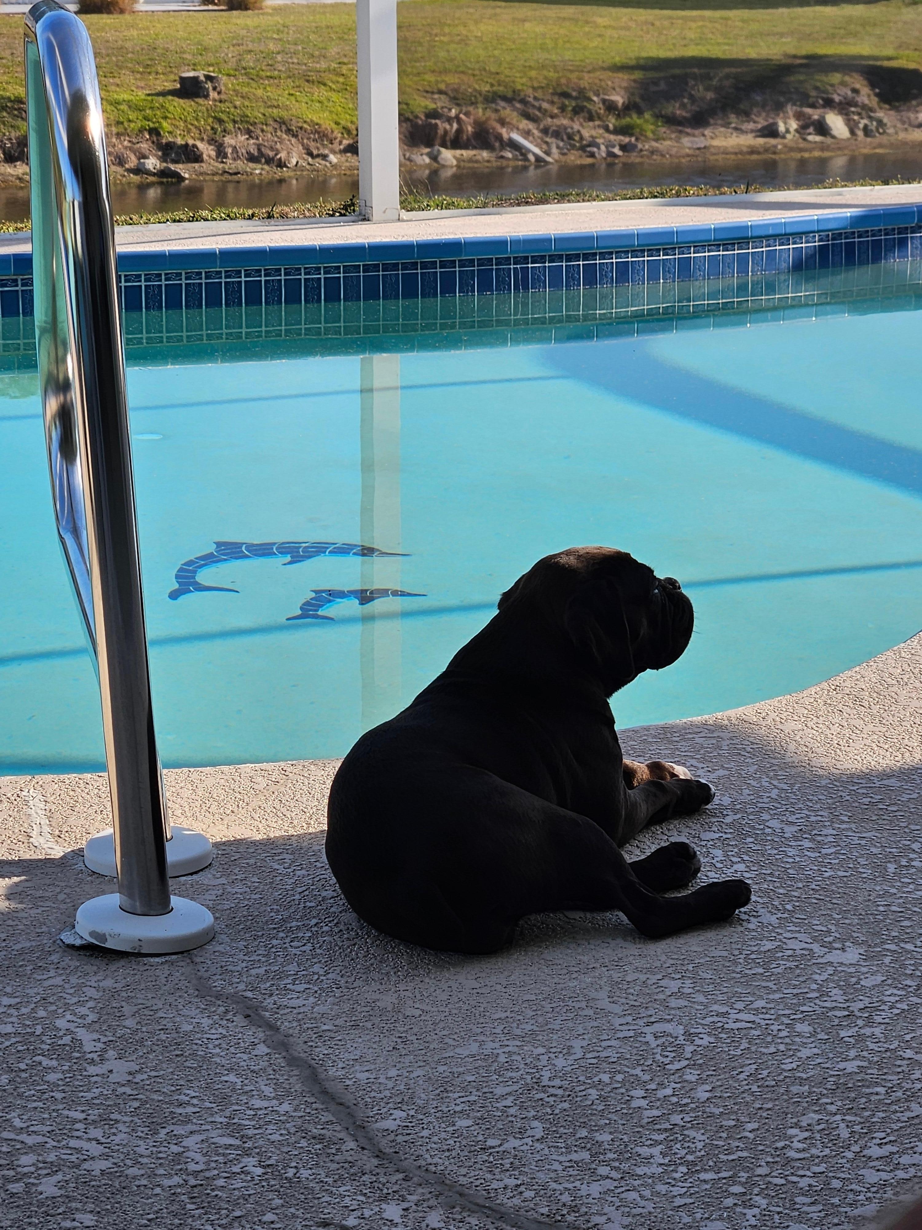 The screened lanai was her favorite place to hang out.
