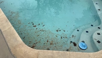The pool was in unacceptable condition upon arrival and remained unusable for nearly our entire stay. Despite multiple requests and photo evidence, it was only addressed the day before checkout.