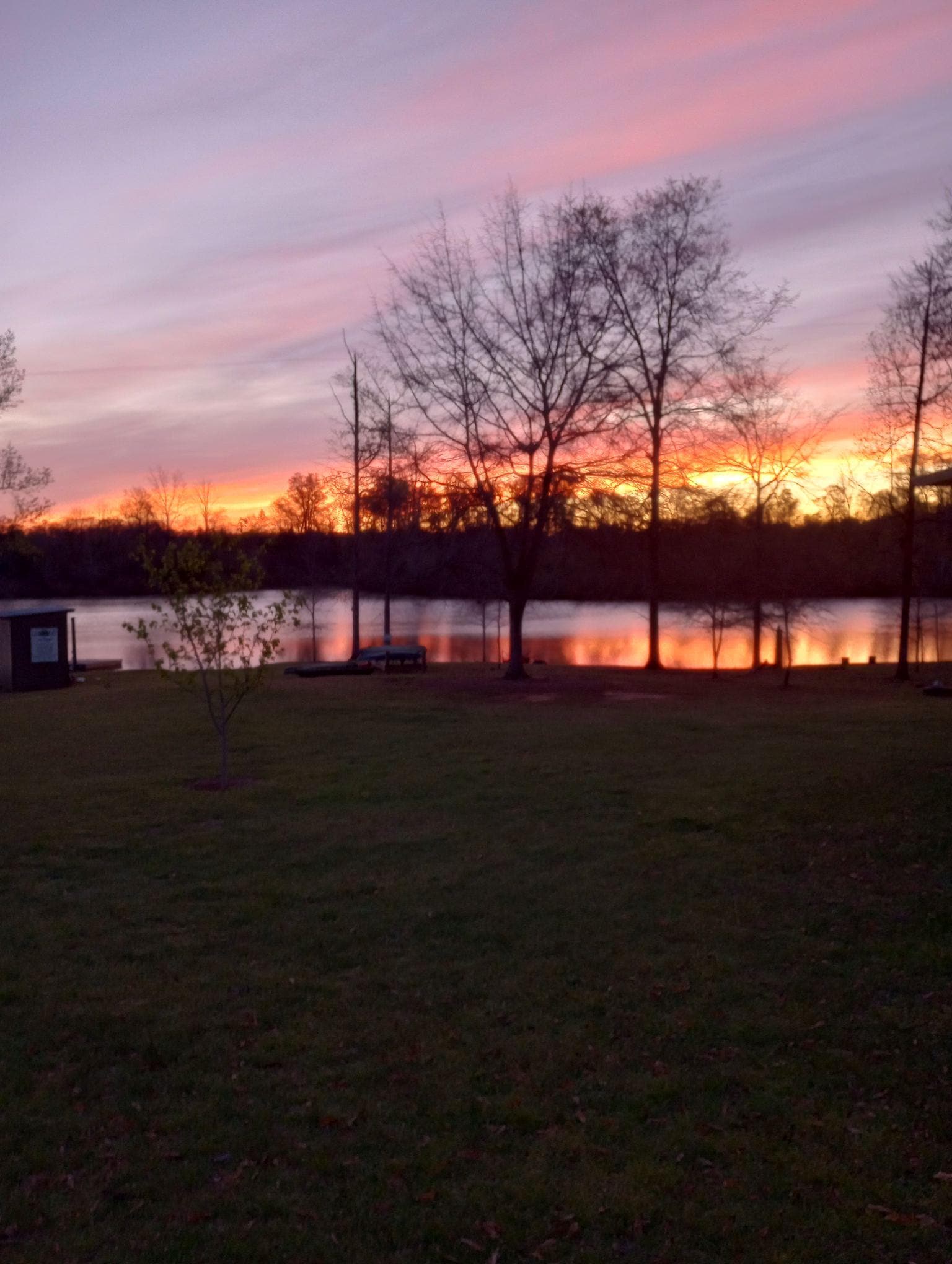 Beautiful mornings