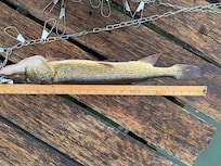 Record fish for under age 16 angler!