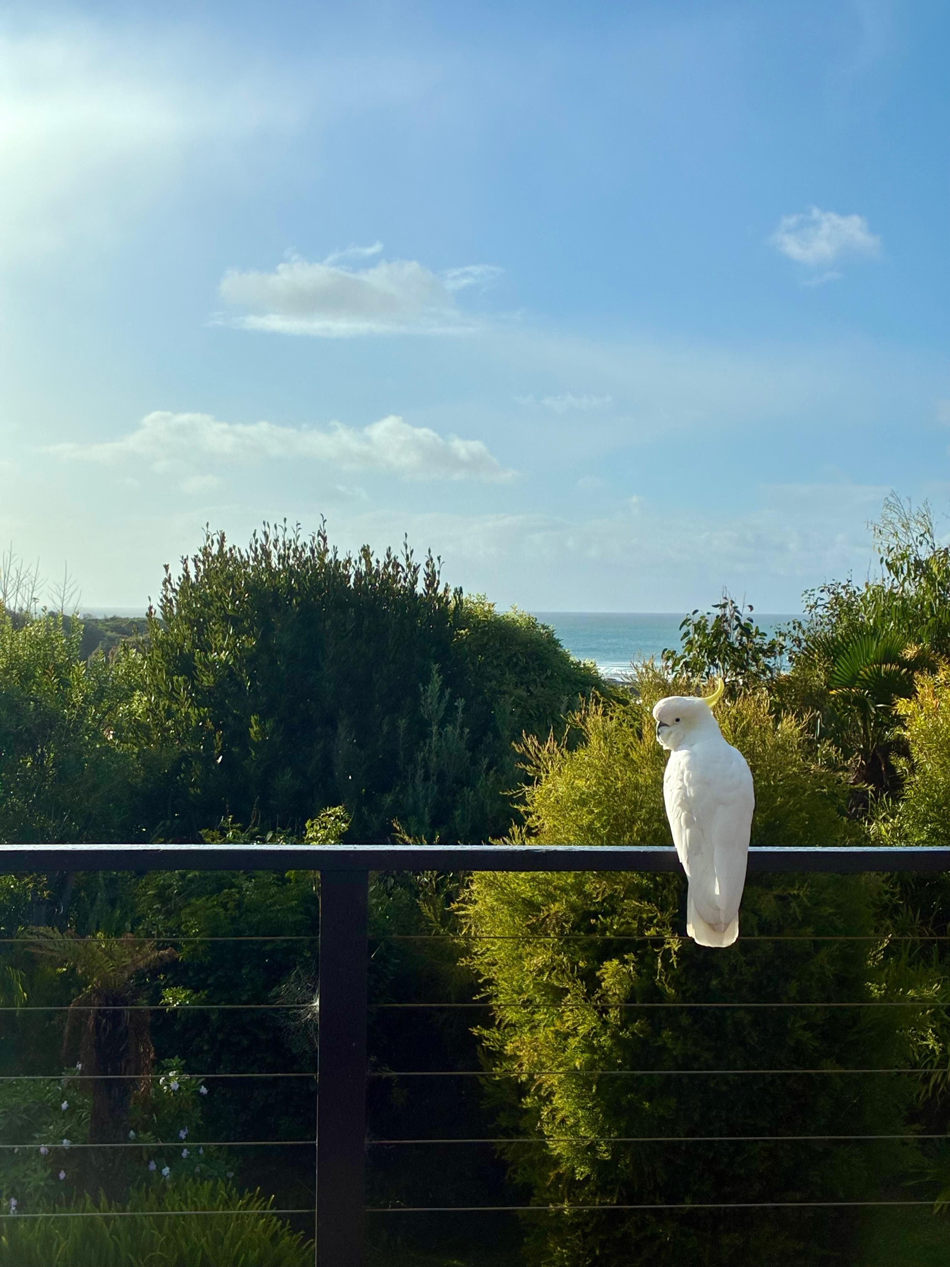 View from the spacious balcony