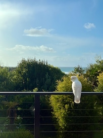View from the spacious balcony