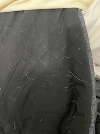 Comforter covered with dog hair.