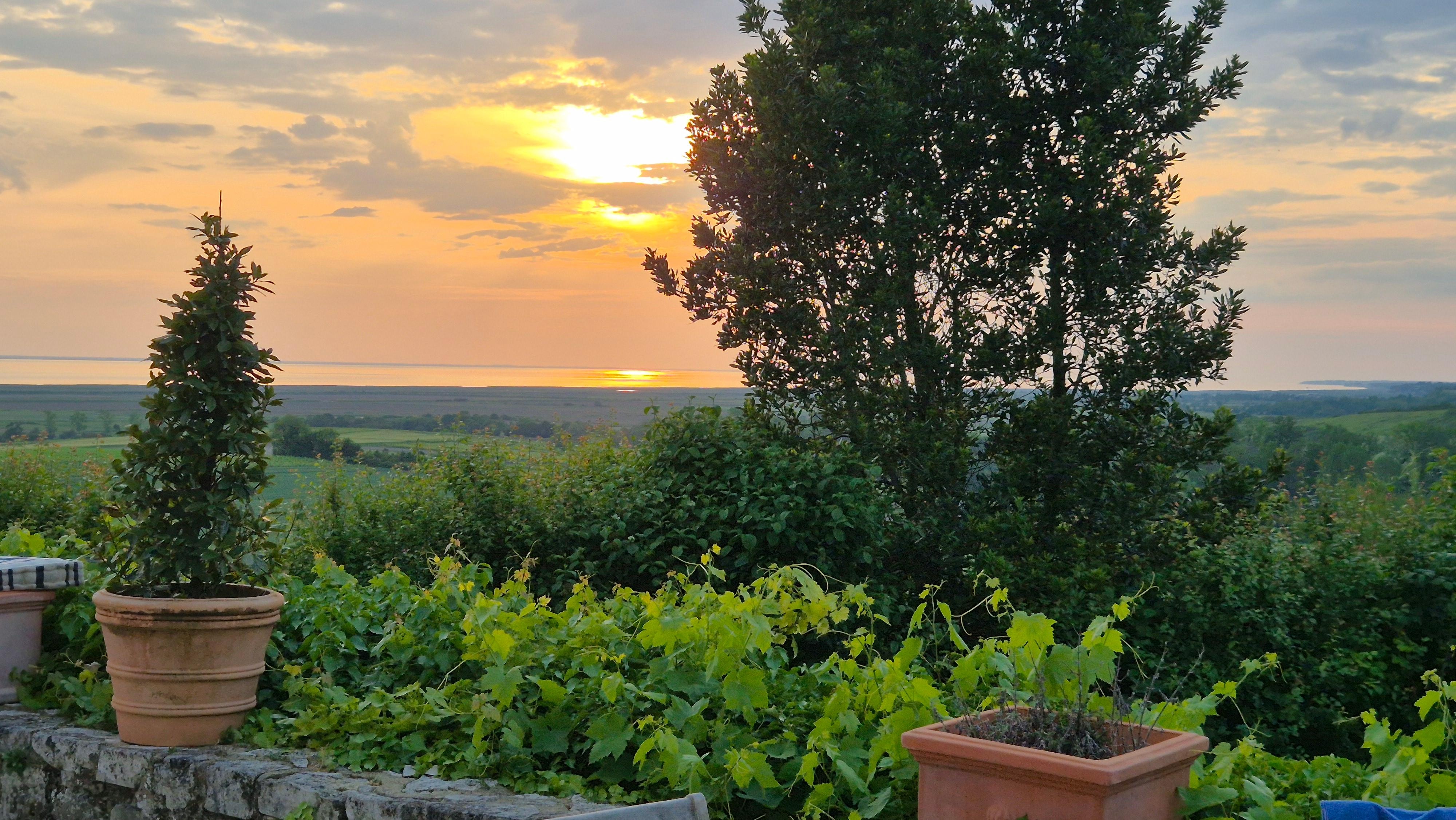 Vue de la terrasse