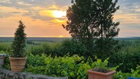 Vue de la terrasse