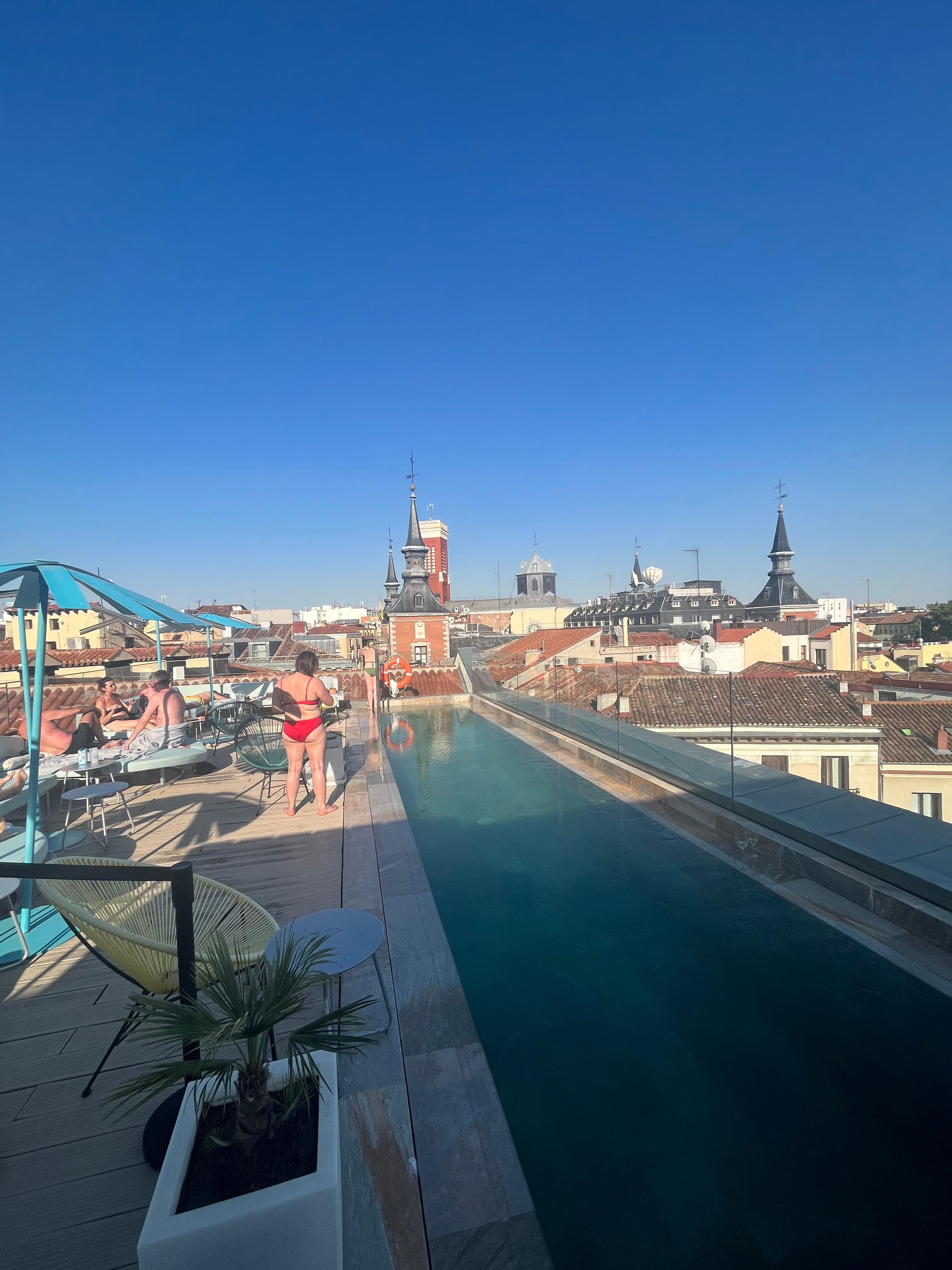 Rooftop: treat yourself to some rose