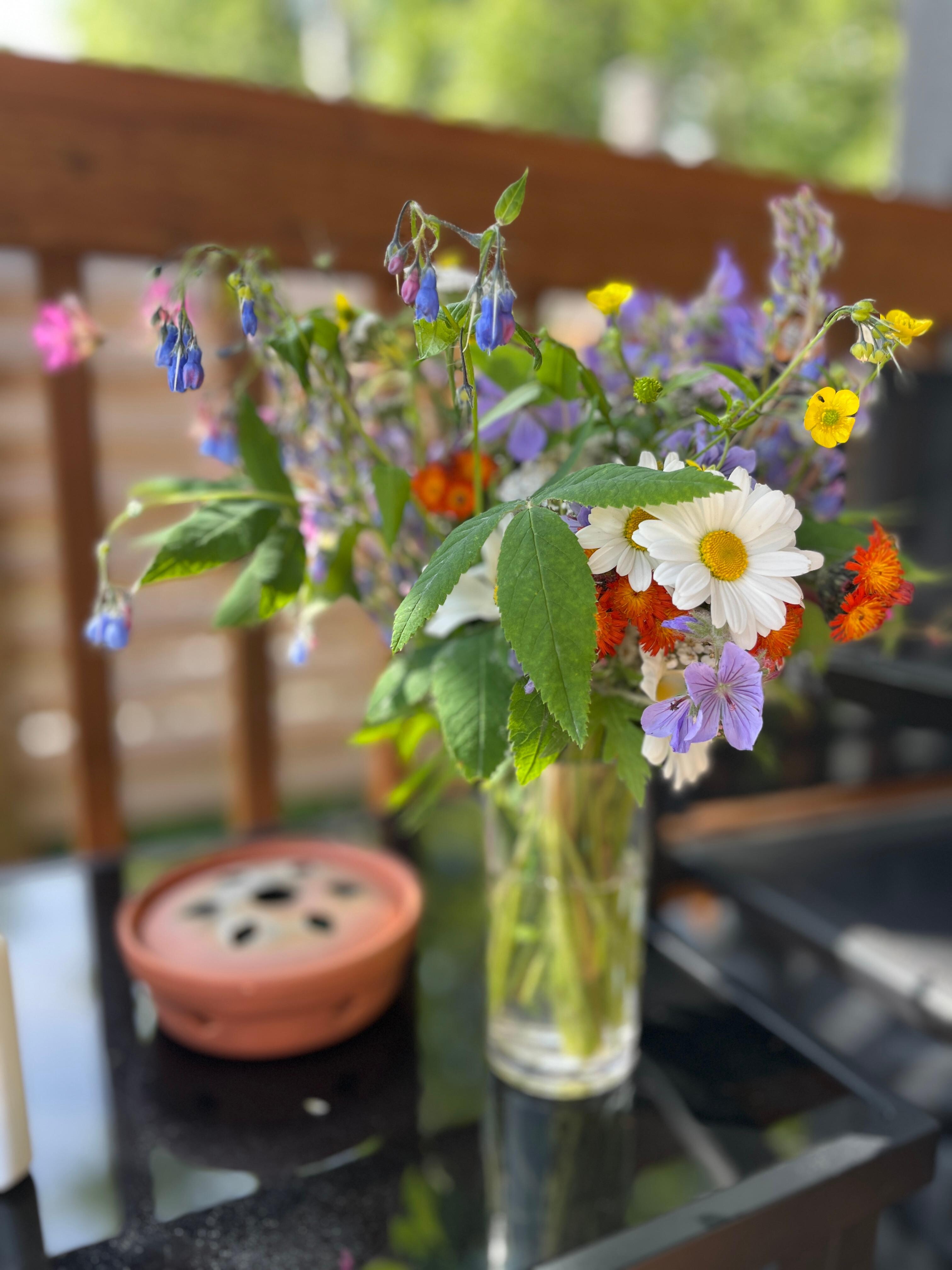 Wildflowers we picked 
