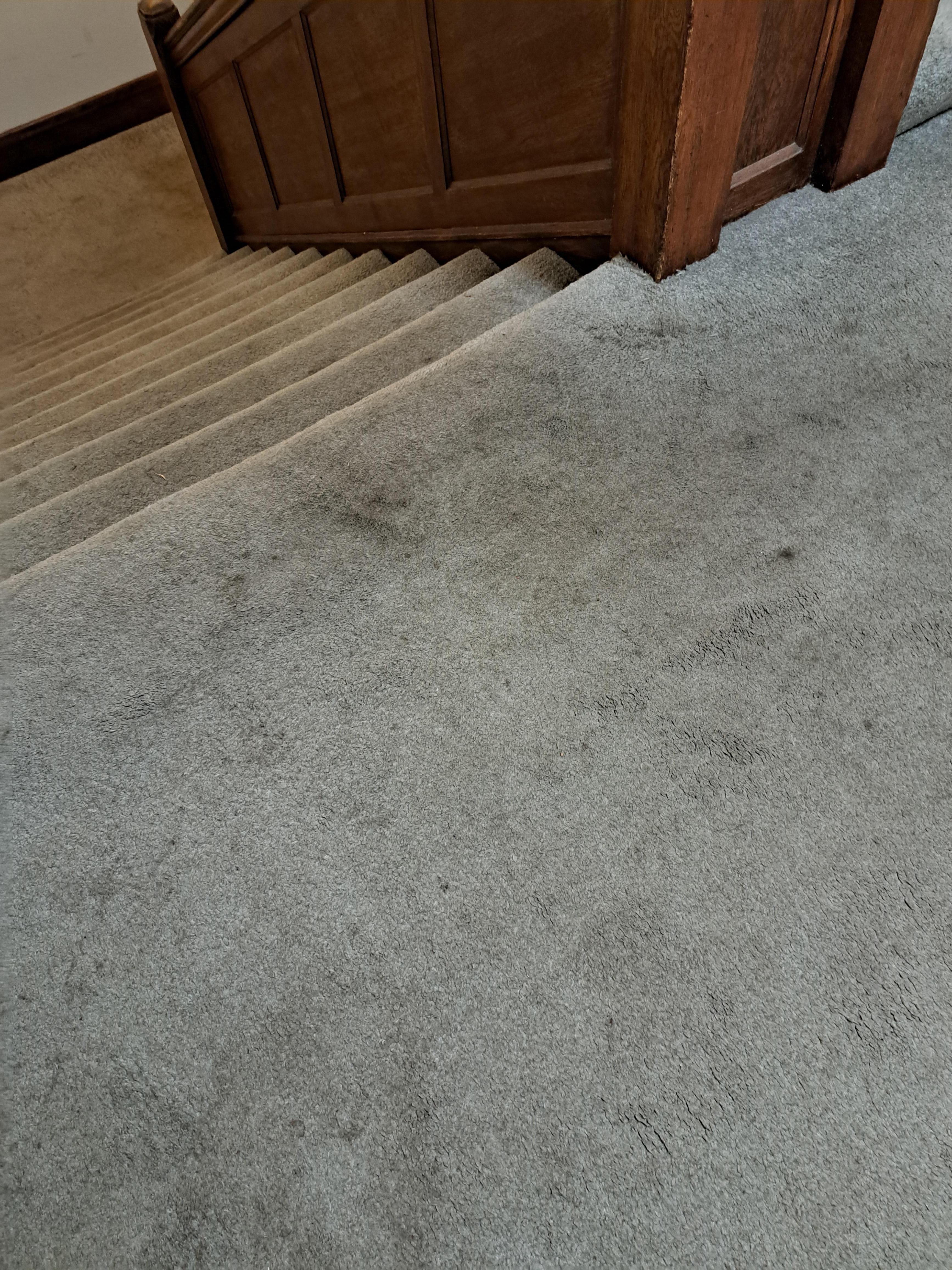 Carpets in communal areas