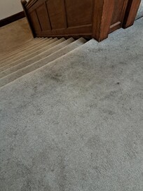 Carpets in communal areas