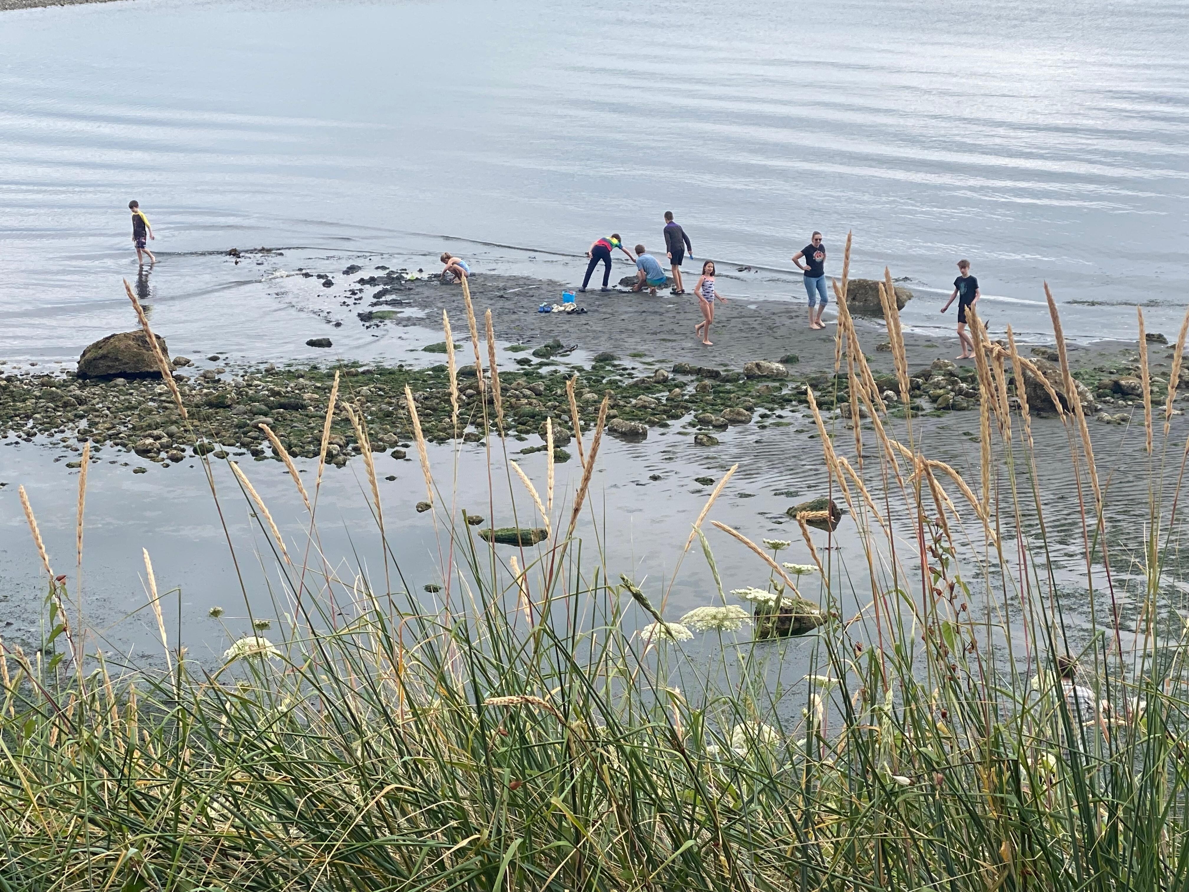 The grandkids loving low tide! 