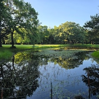 The pond right before sunset