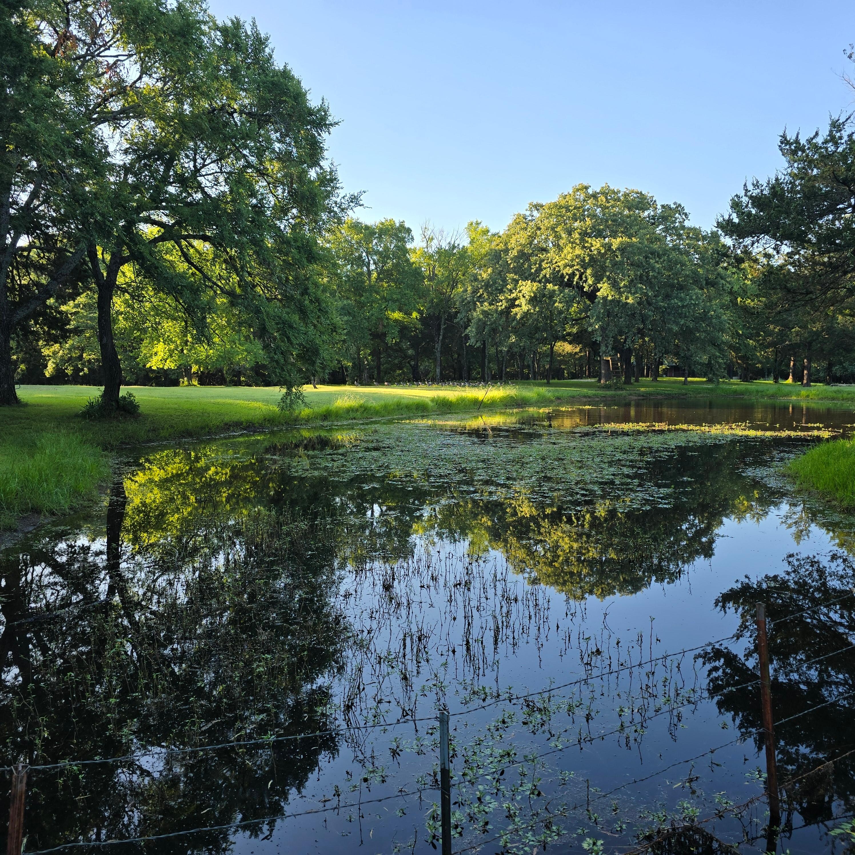 The pond right before sunset