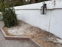 Paint/construction materials dumped in back yard