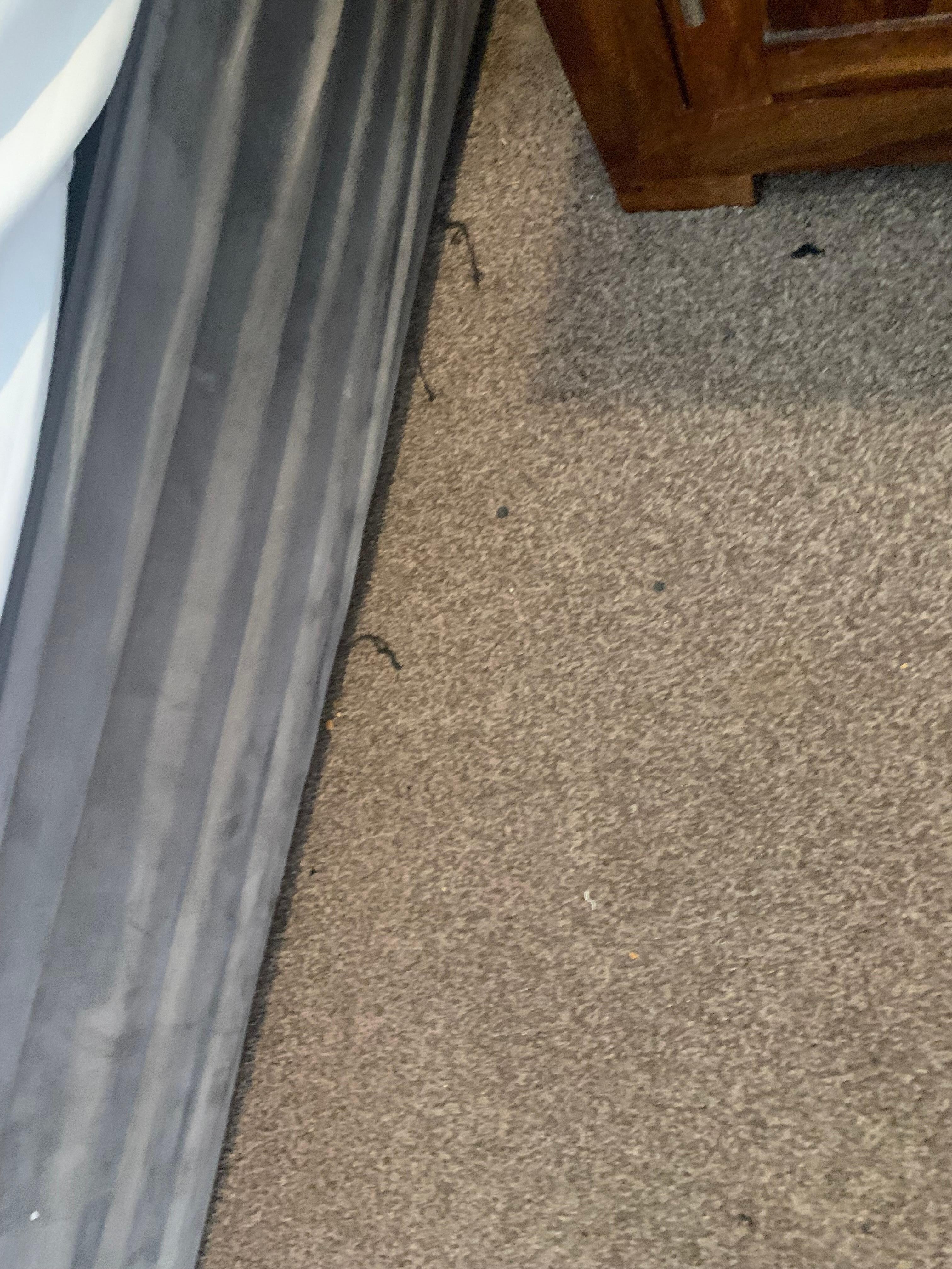Under the bed bits 
