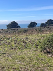Hiking along coastline.
