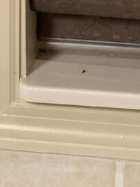 Someone’s eyelashes