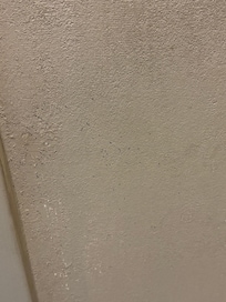 What appeared to be shaved hair onto the bathroom wall.