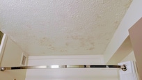 Bathroom mold