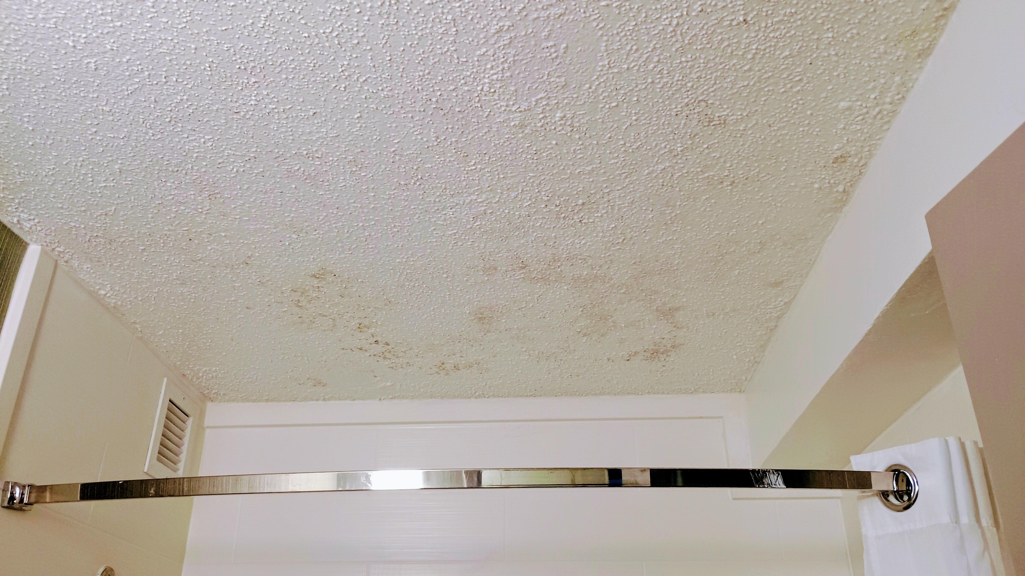 Bathroom mold