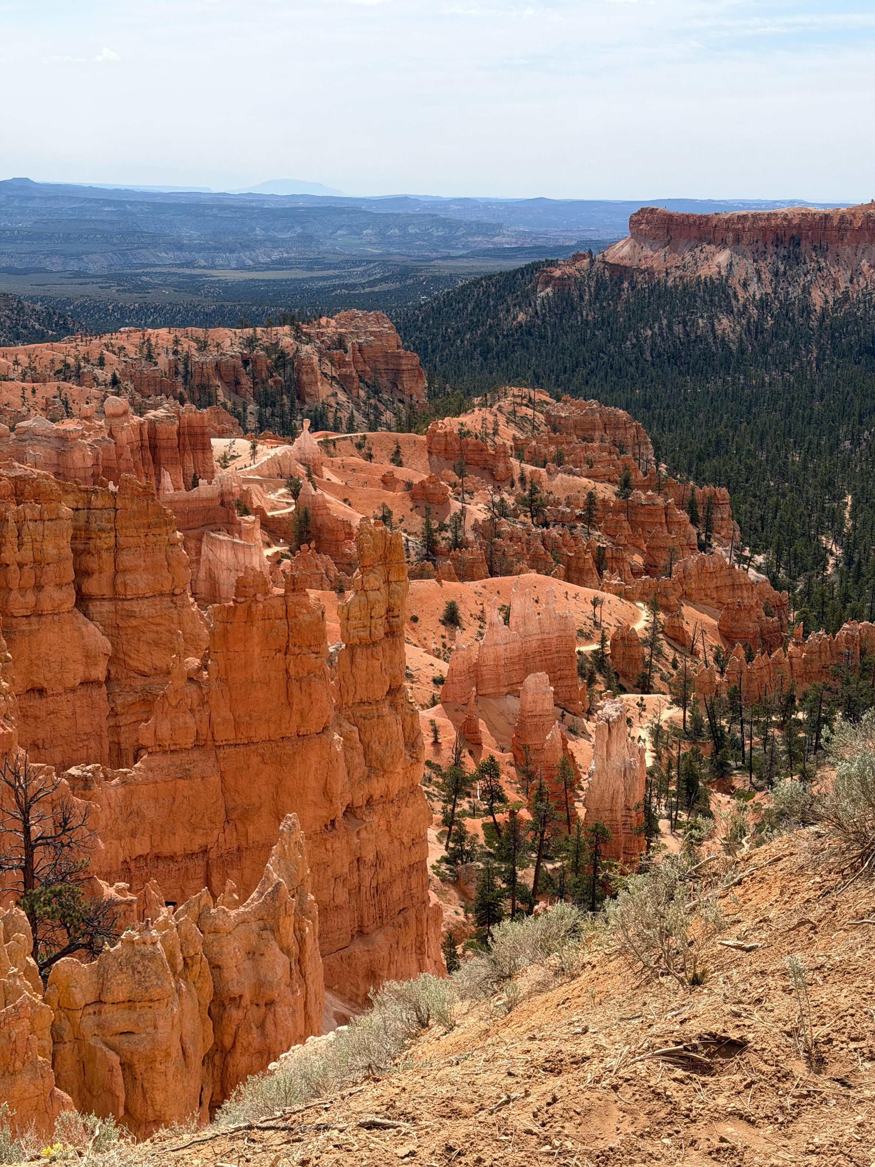 Bryce Canyon