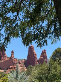 View of The Chapel site from the backyard