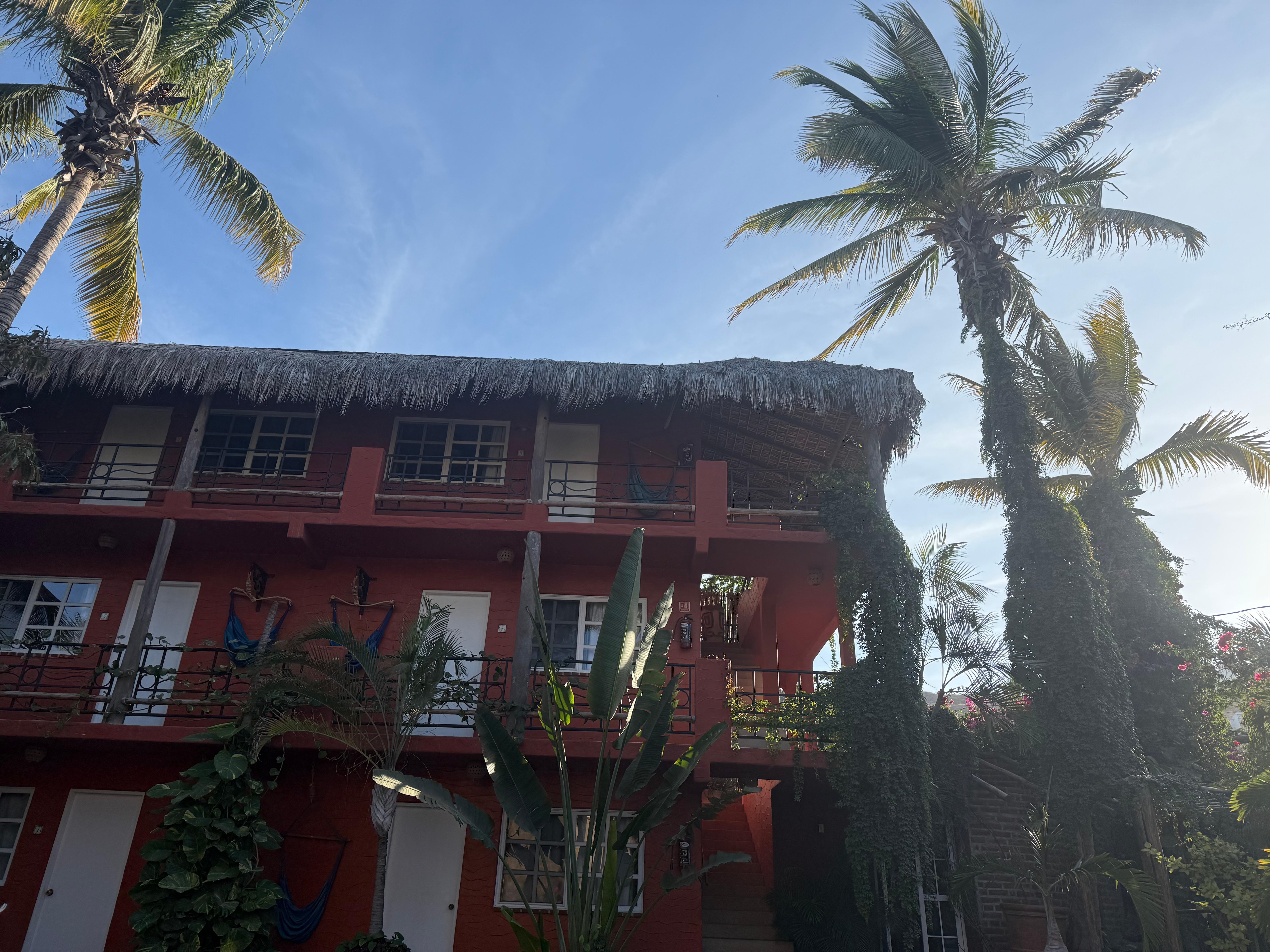 view from my pool side lounge chair.