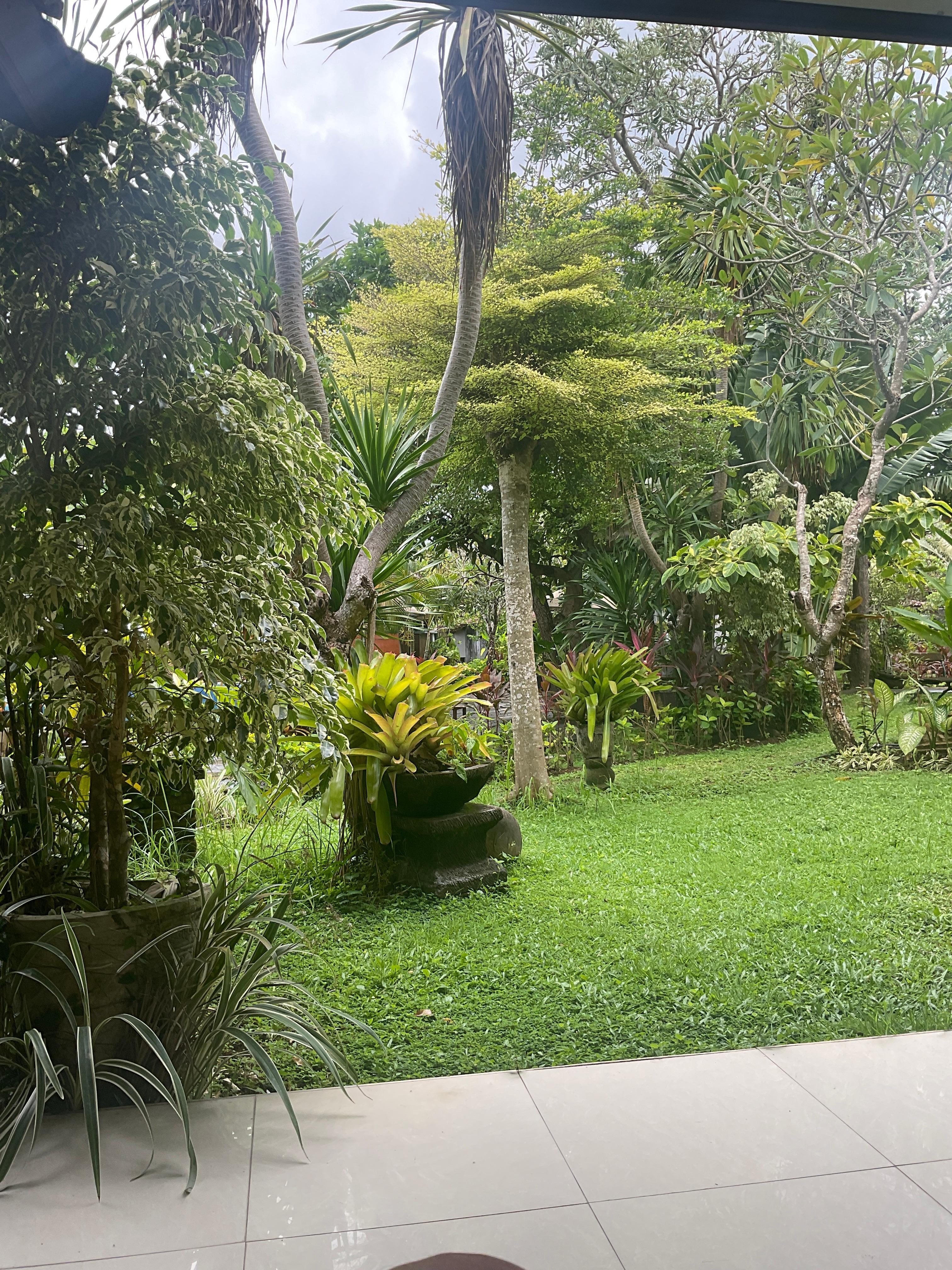 View from my room 🥰