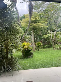 View from my room 🥰