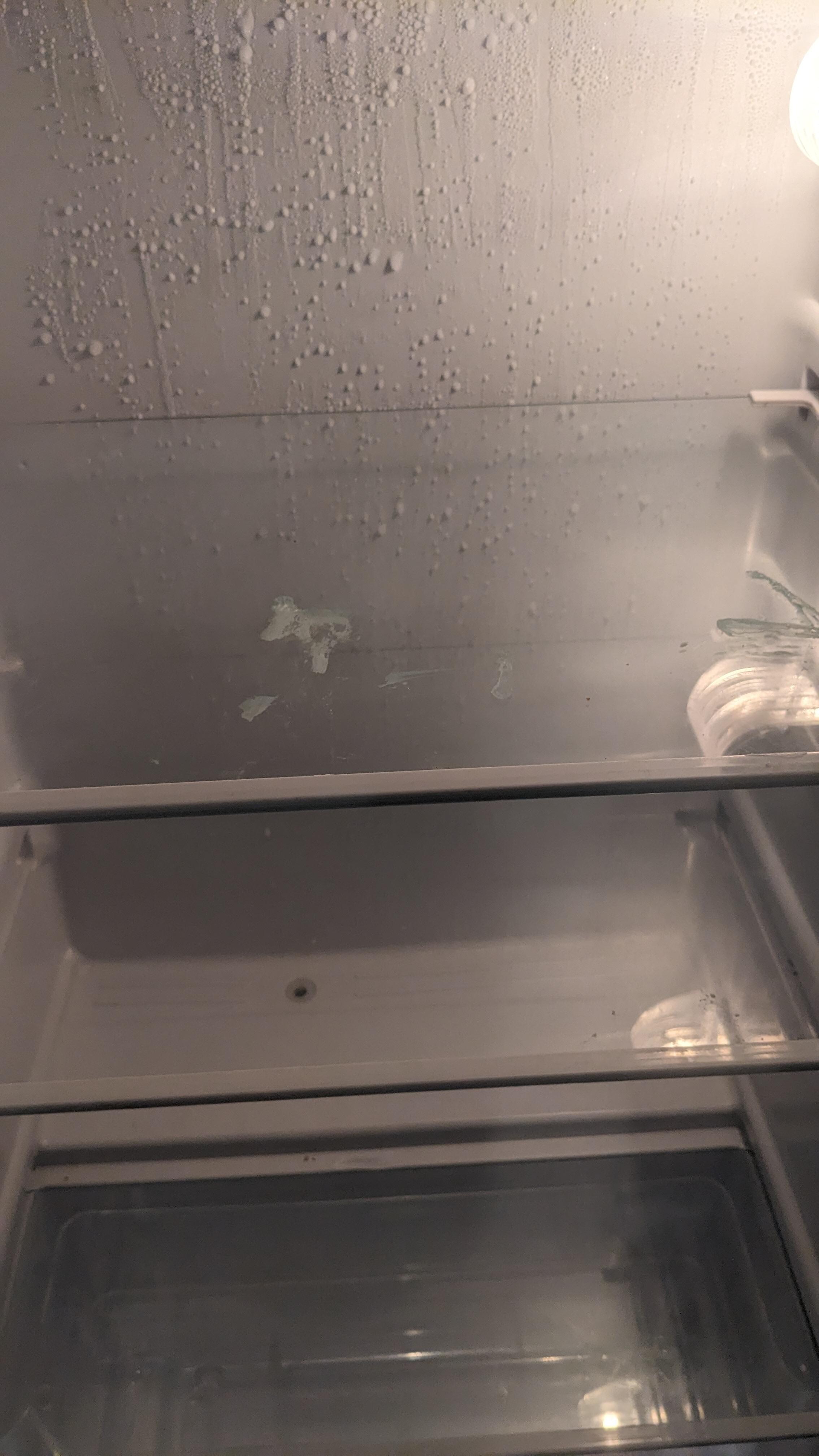 Inside the fridge.