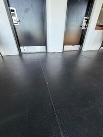 Dead roach in front of the room