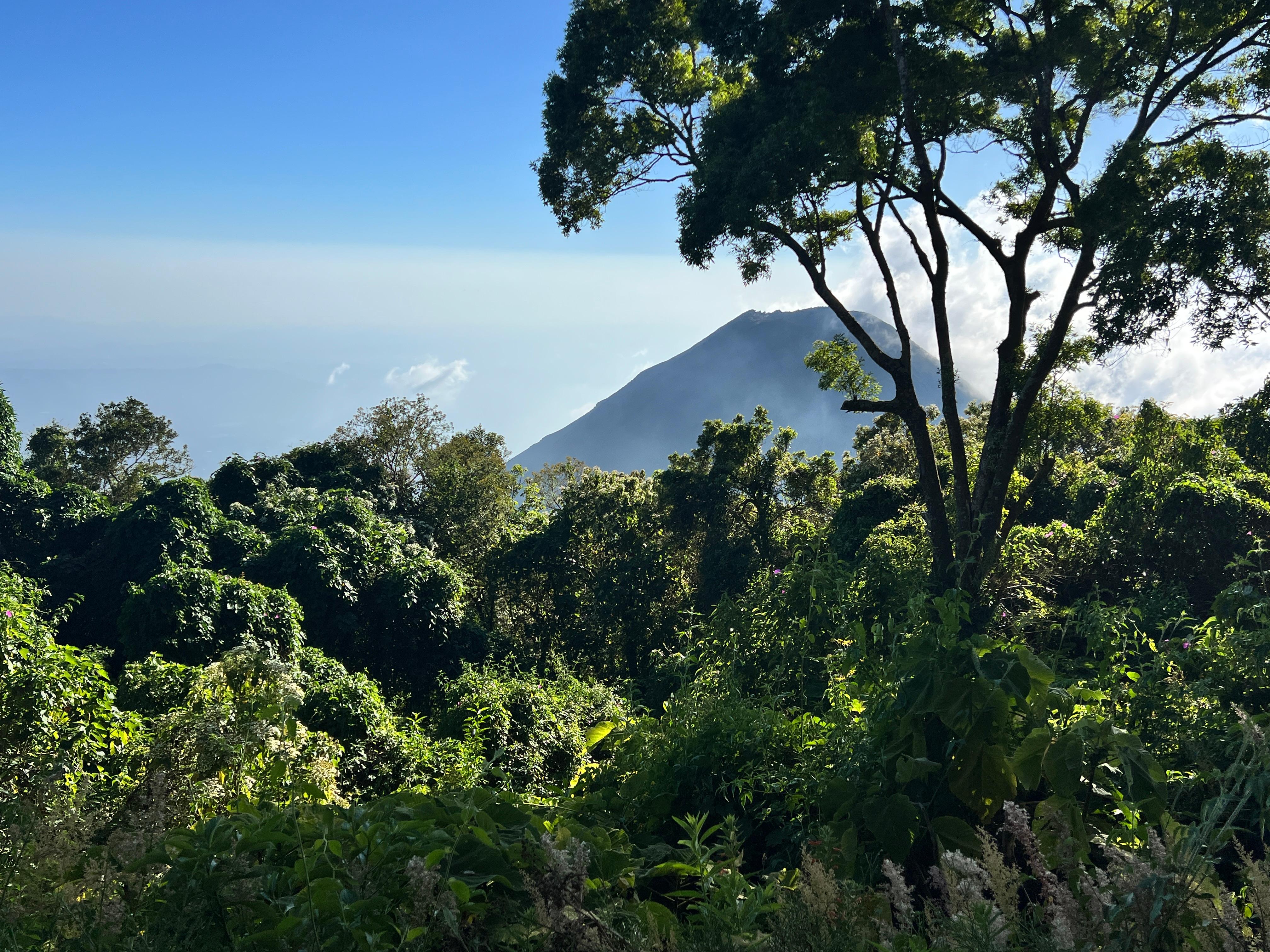 Volcano view from yard