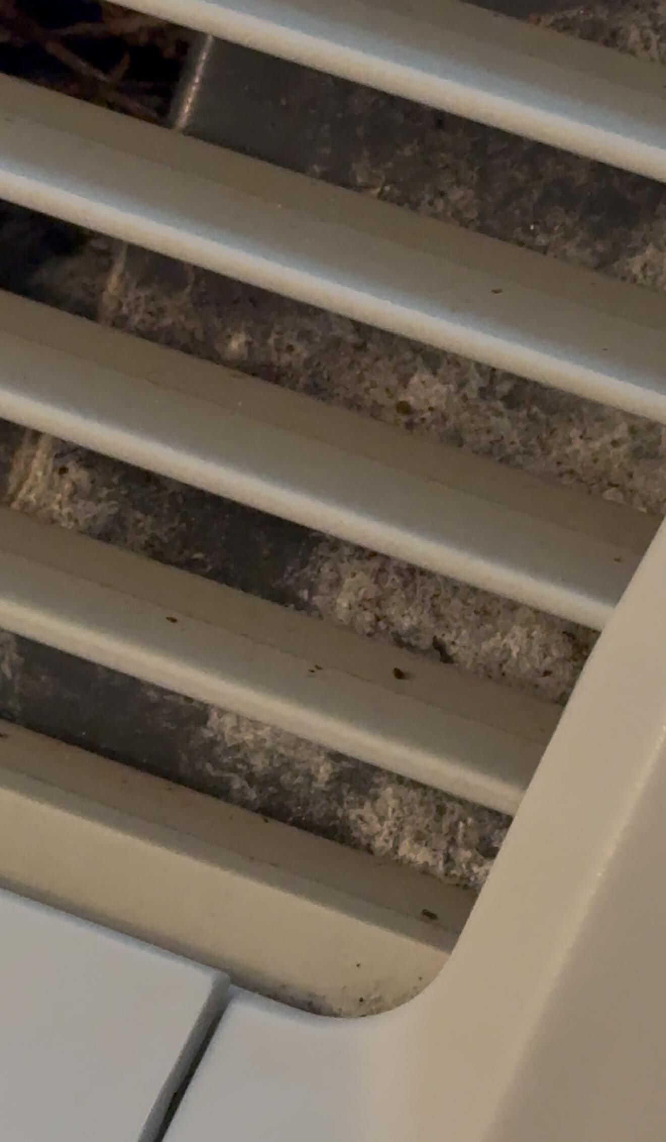 Mold in air conditioner 