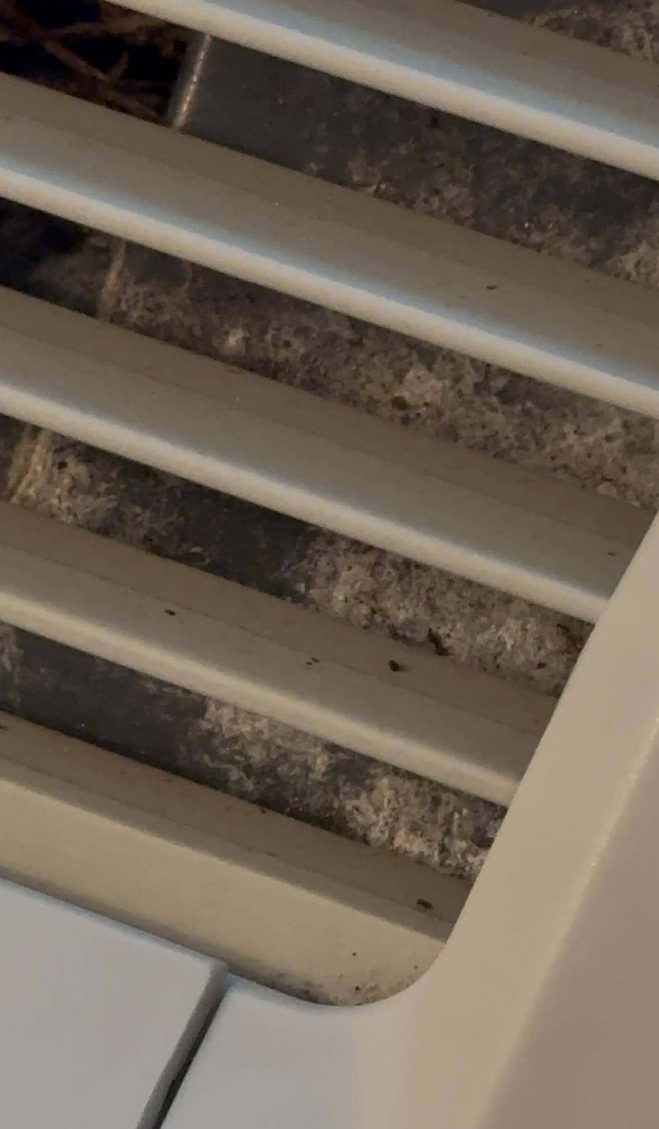 Mold in air conditioner
