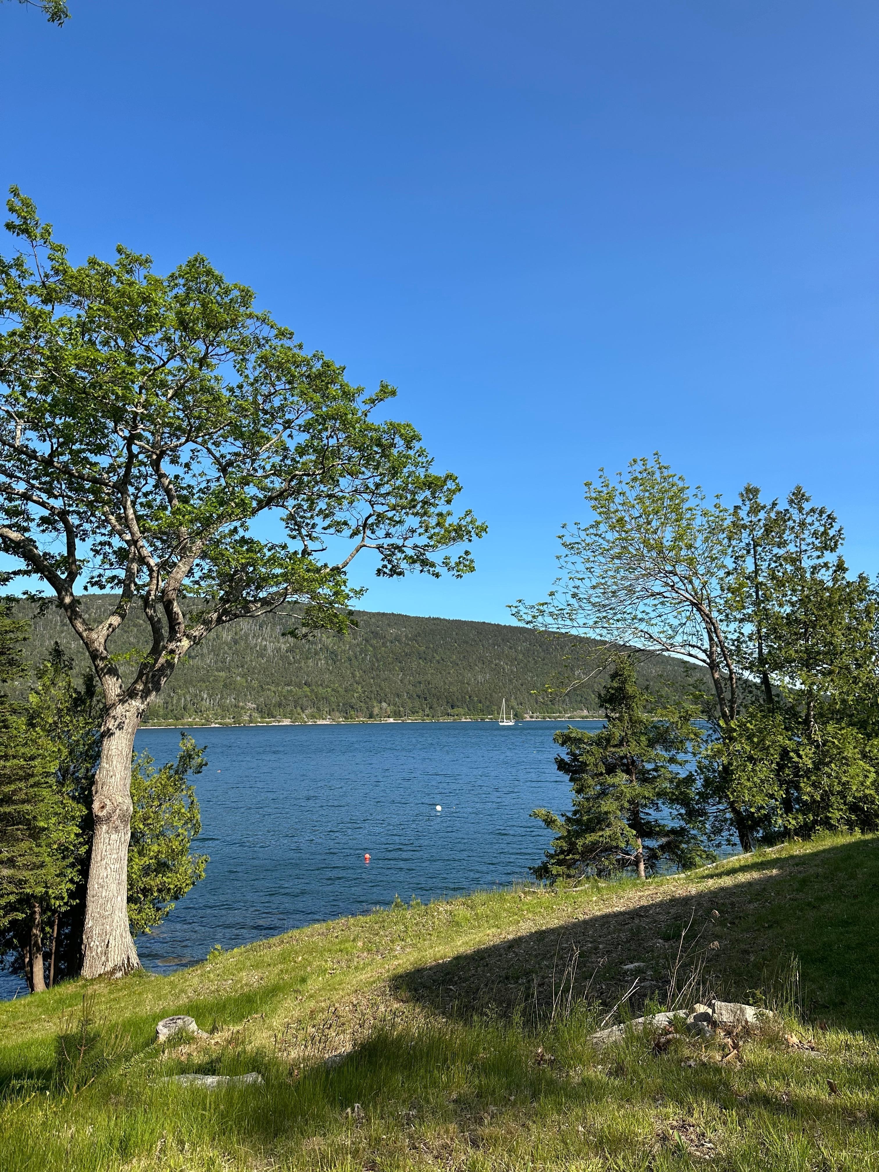 View from outdoor seating area in the grounds
