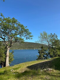 View from outdoor seating area in the grounds