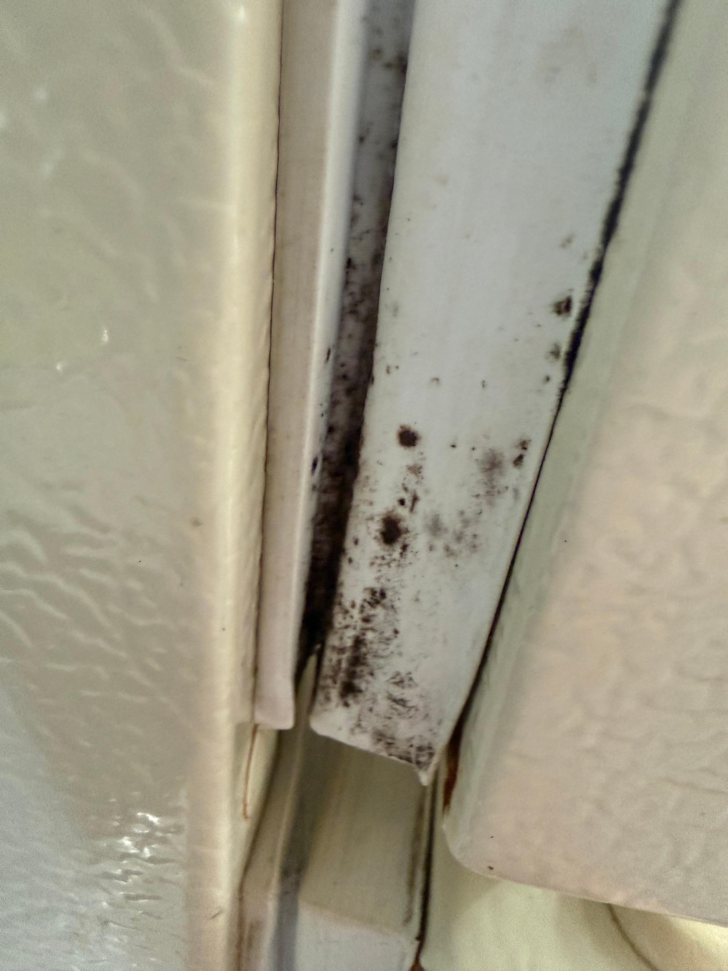 Mold on the fridge door.