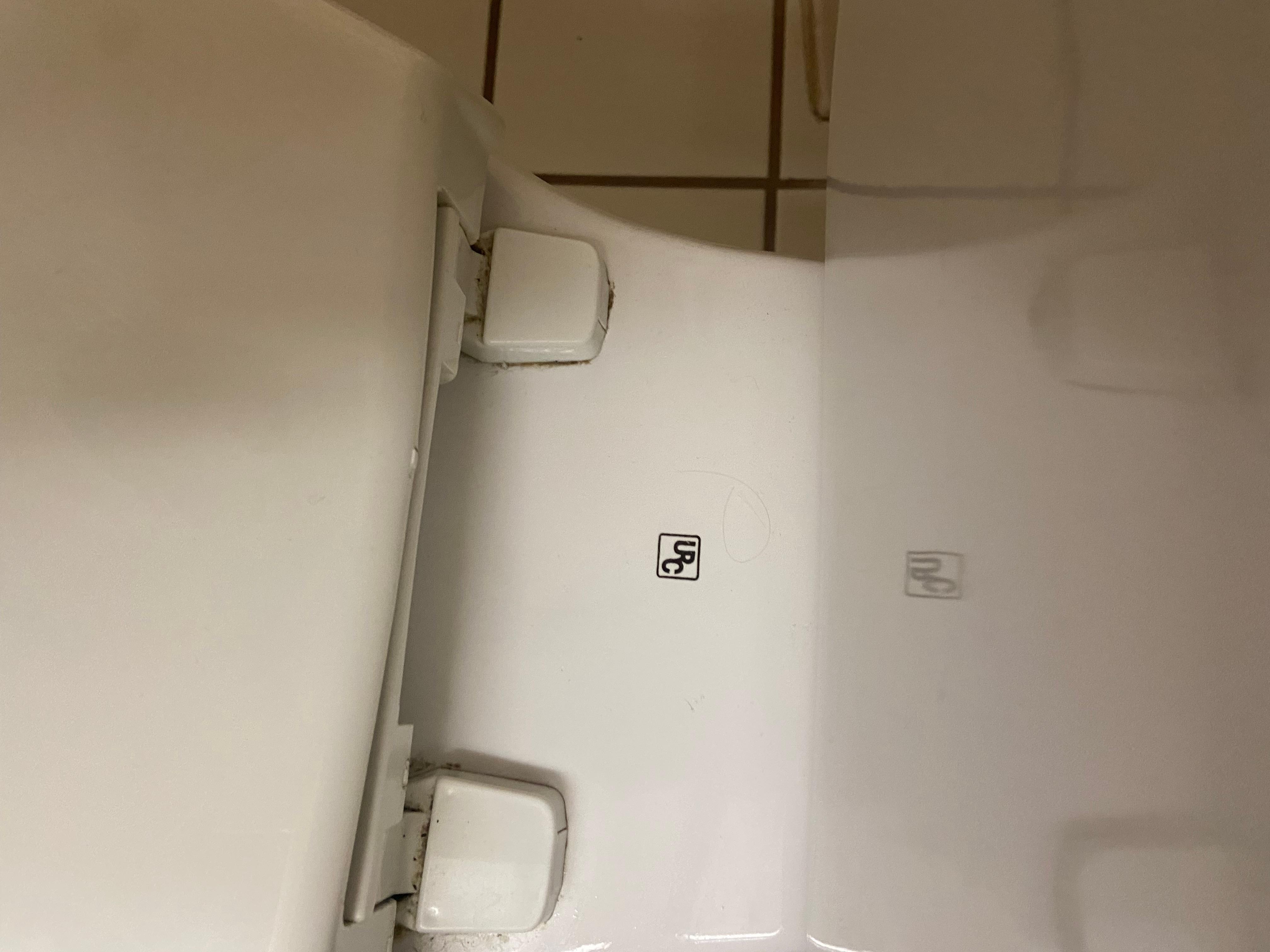 Hair and yuck on toilet