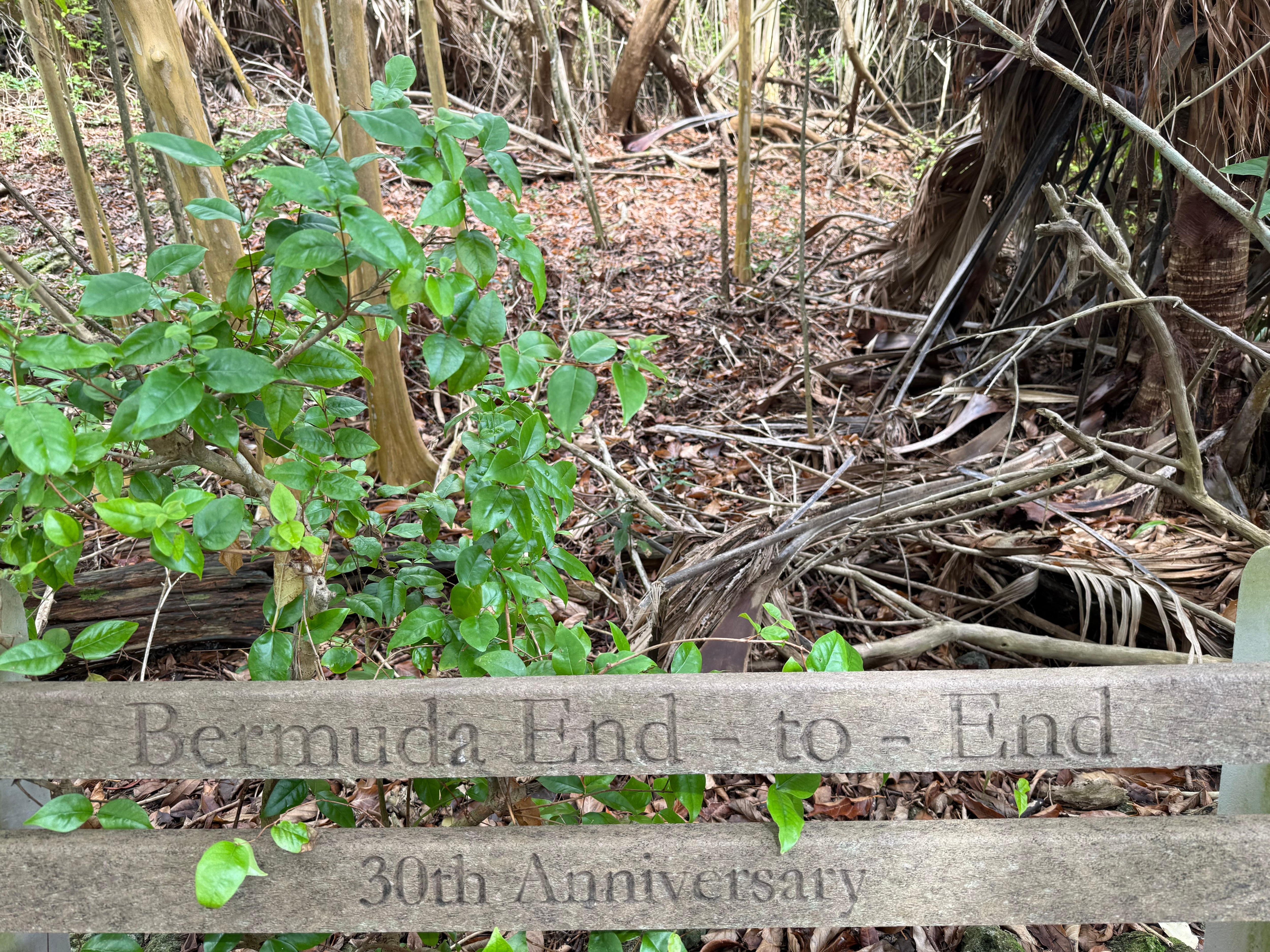 It was our 30th anniversary, and found this bench along the nearby railtrail, which we enjoyed walking on