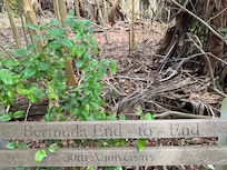 It was our 30th anniversary, and found this bench along the nearby railtrail, which we enjoyed walking on