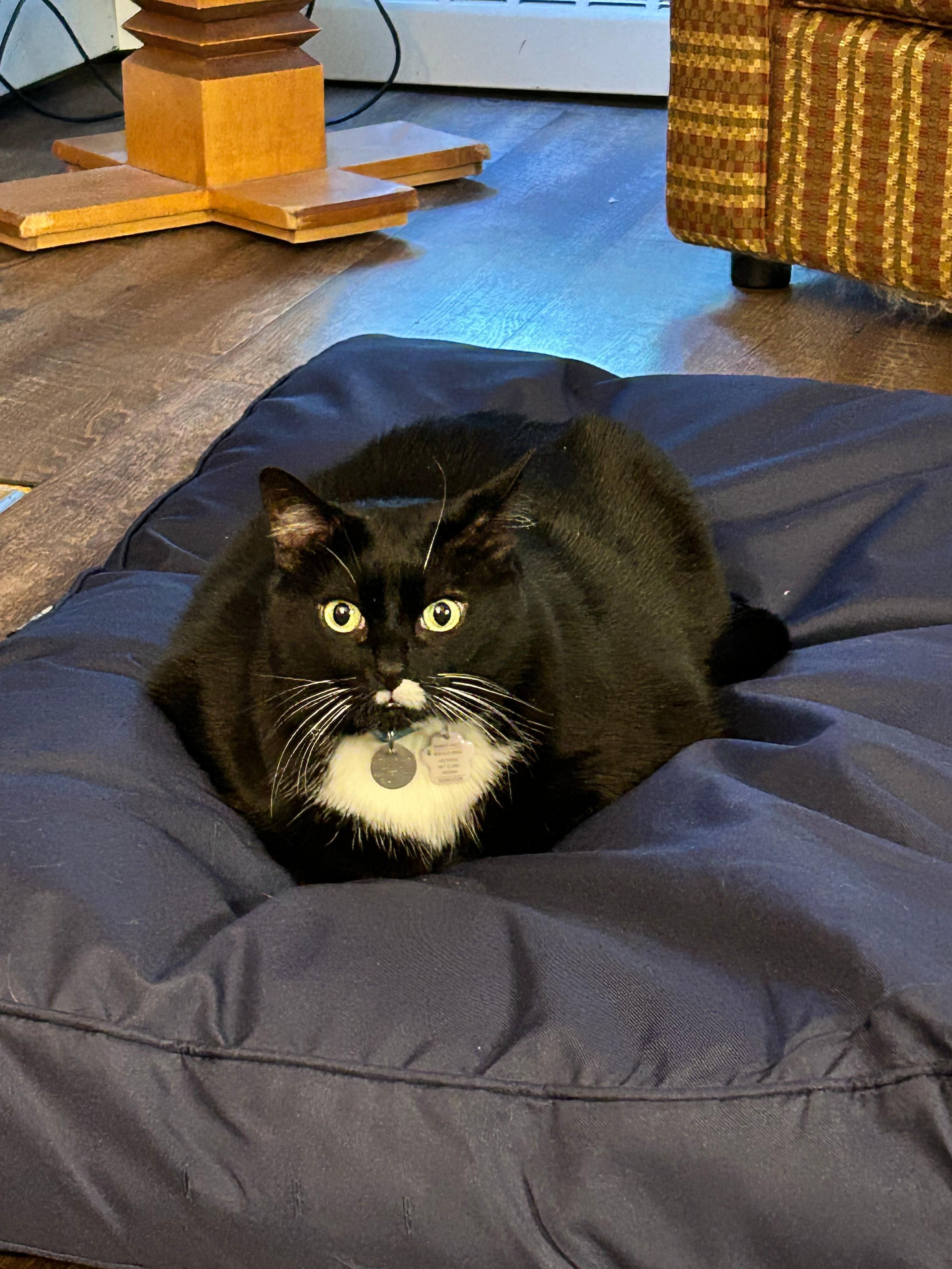 Loving her bed