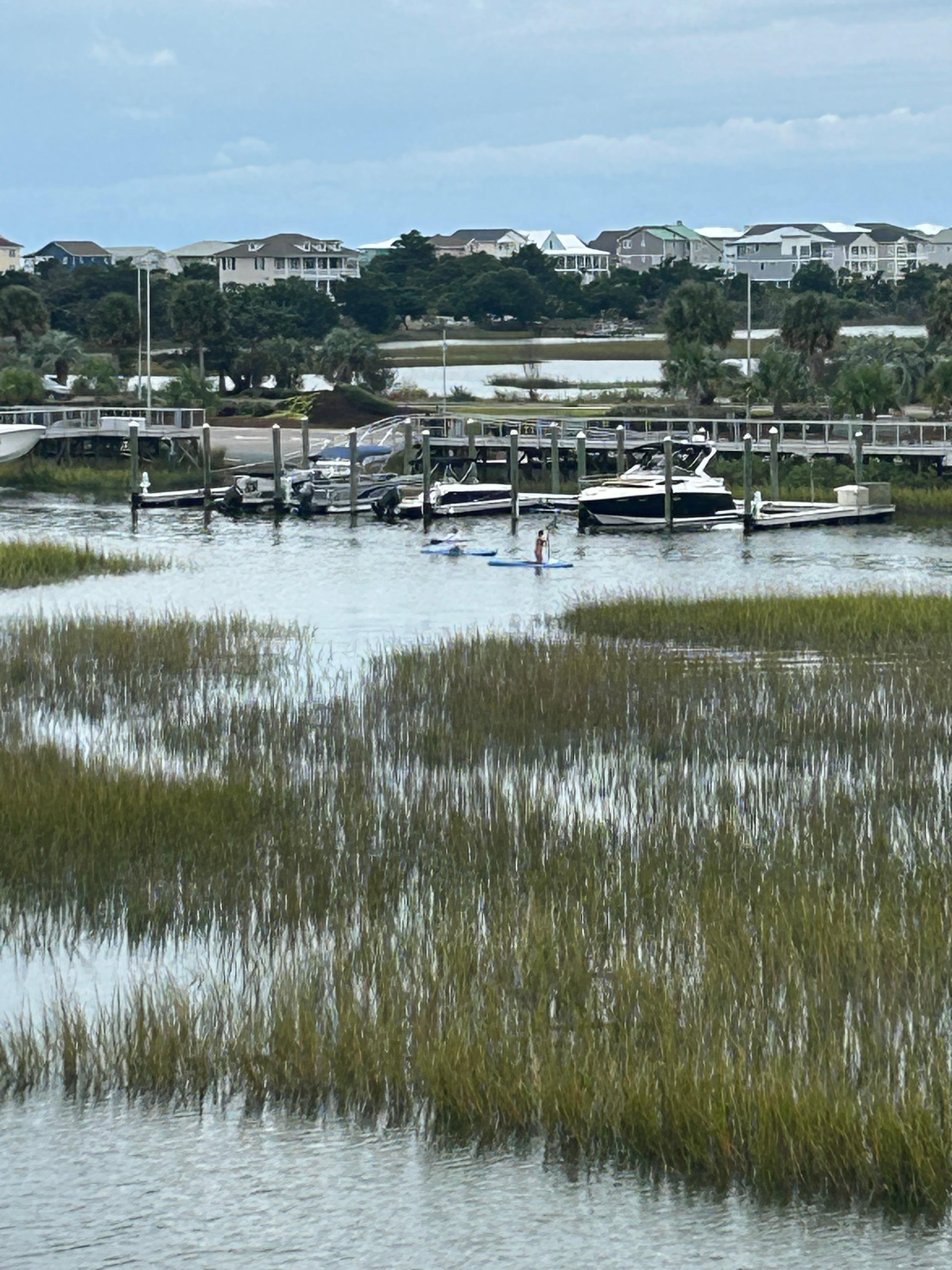 Lots of bird/fish life to enjoy!