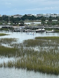 Lots of bird/fish life to enjoy!