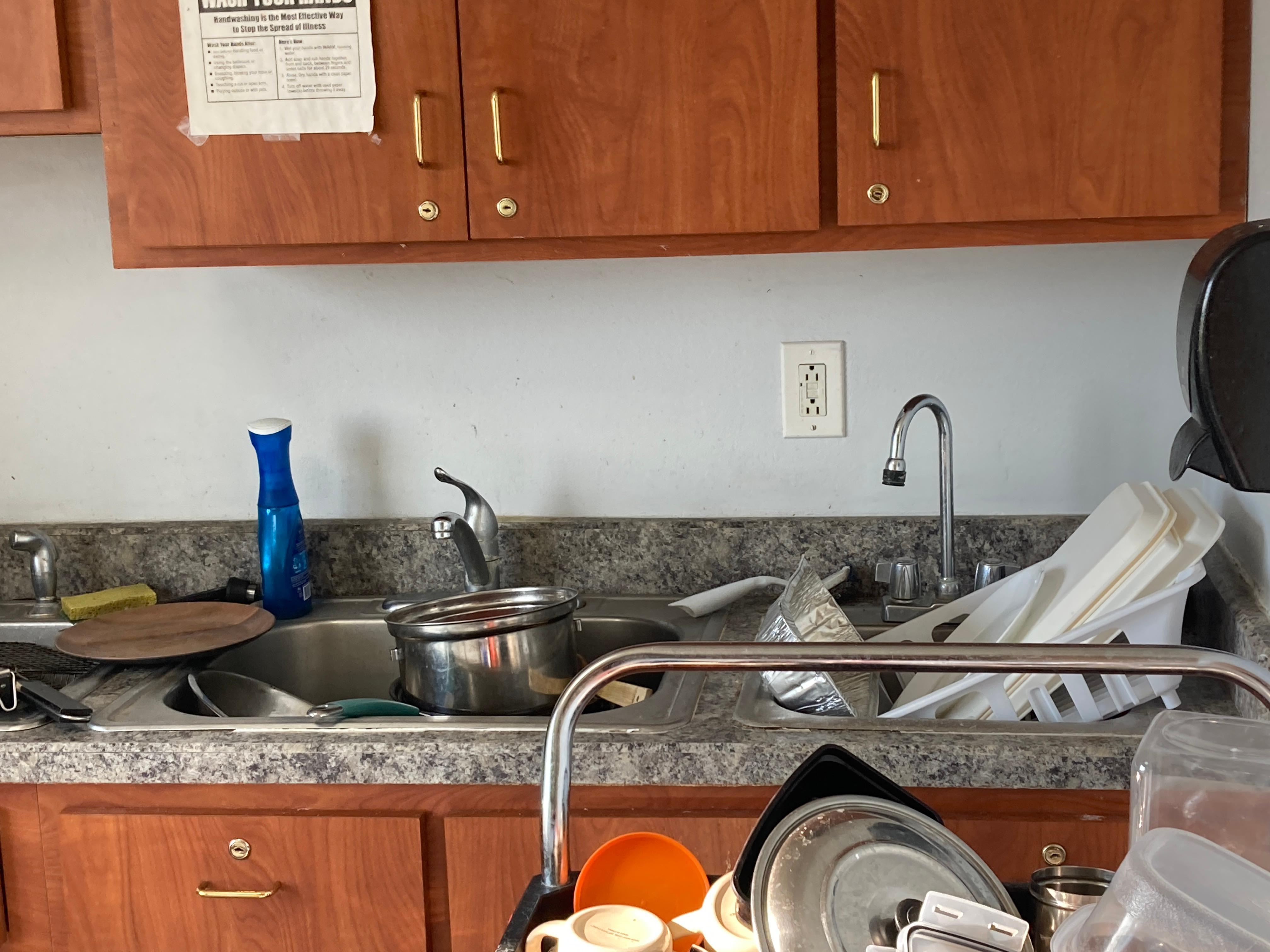 This was not a one day (24 hr) accumulation, but days and weeks of non sanitary treatment in kitchen
