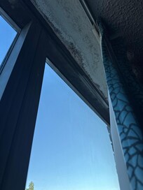 Mold on ceiling