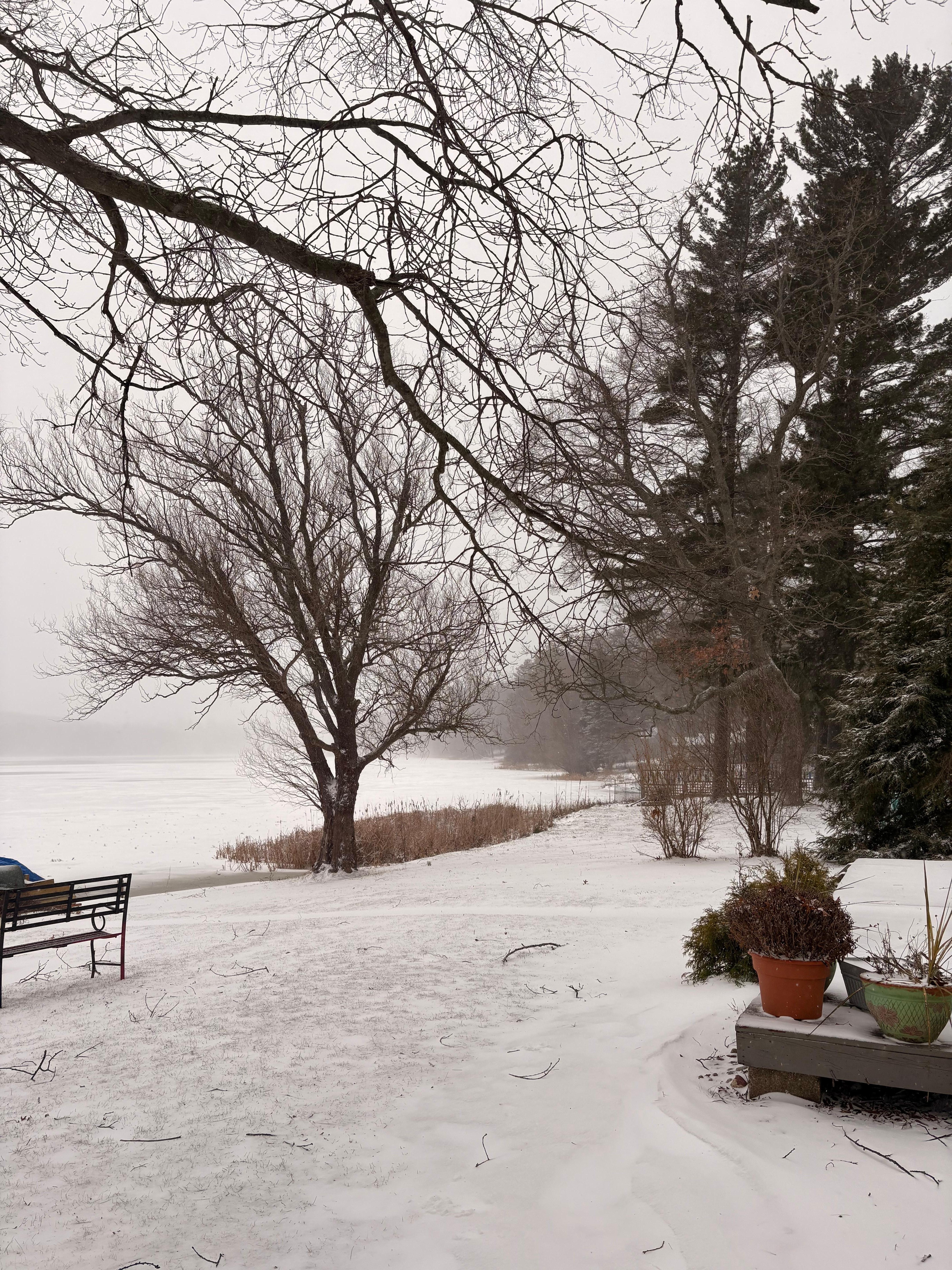 View of Bar Lake from backyard