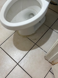 Floor full of dirt and toilet had mold in