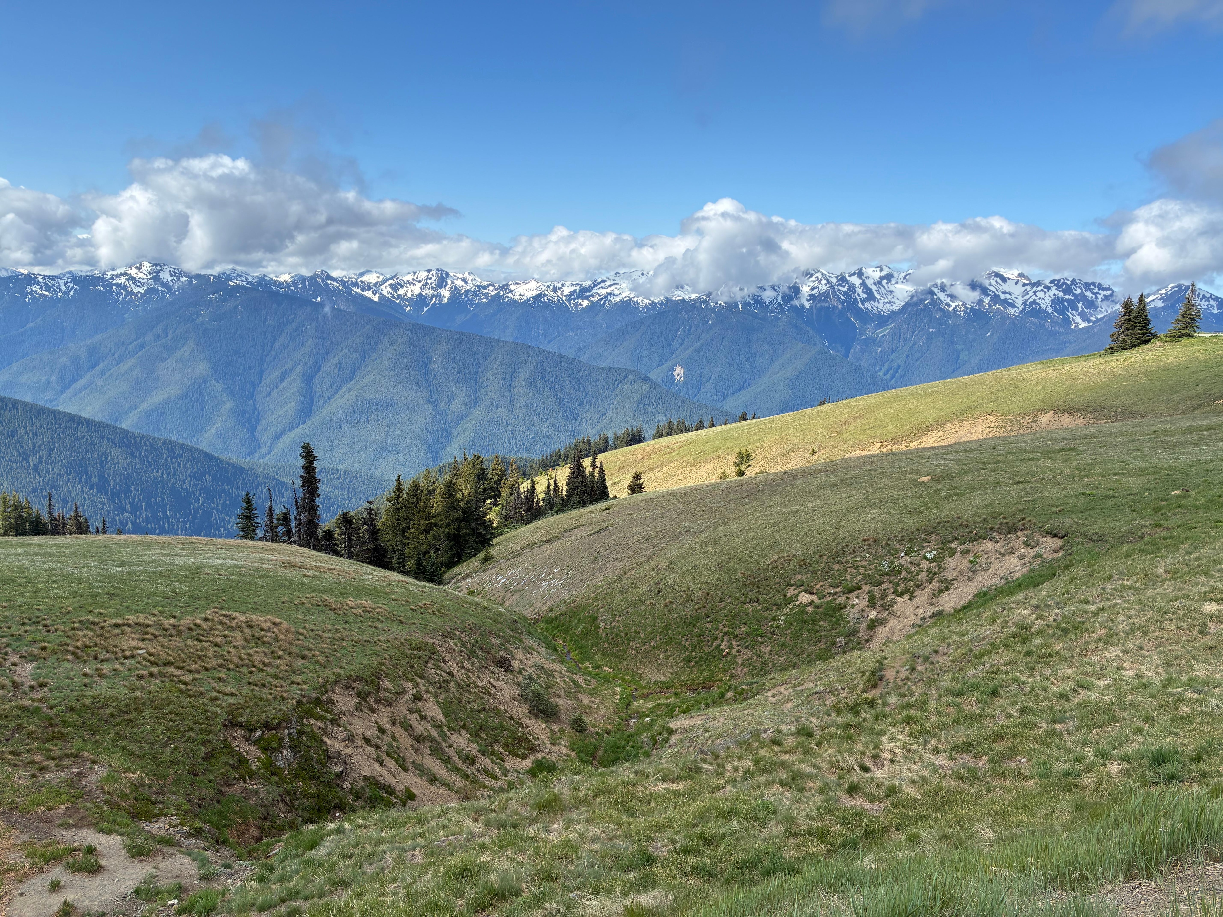 Olympic Mountains  form background for many area related features. 