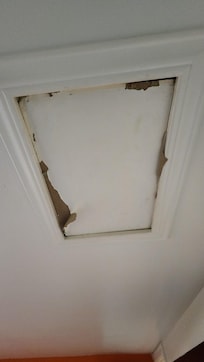 Whatever that is on the ceiling